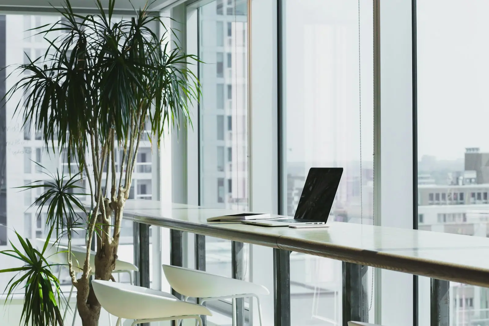 A bright open office with desks, plants, and daylight